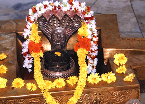 saneeswara swamy