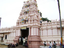 nemali venugopala swamy temple