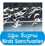 bird sanctuaries