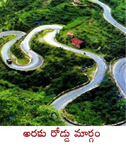 araku road