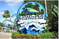 Sea World Orlando…  America…సీ వరల్డ్, ఆర్లాండో...అమెరికా....