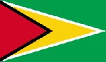 guyana flag