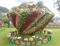 rose garden, ooty