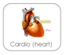cardio
