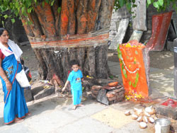 thousand pillars  temple, warangal