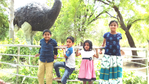 nehro zoo park