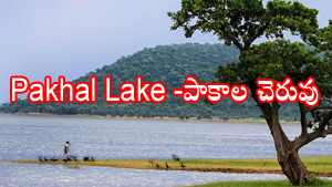 Pakhal Lake పాకాల సరస్సు  